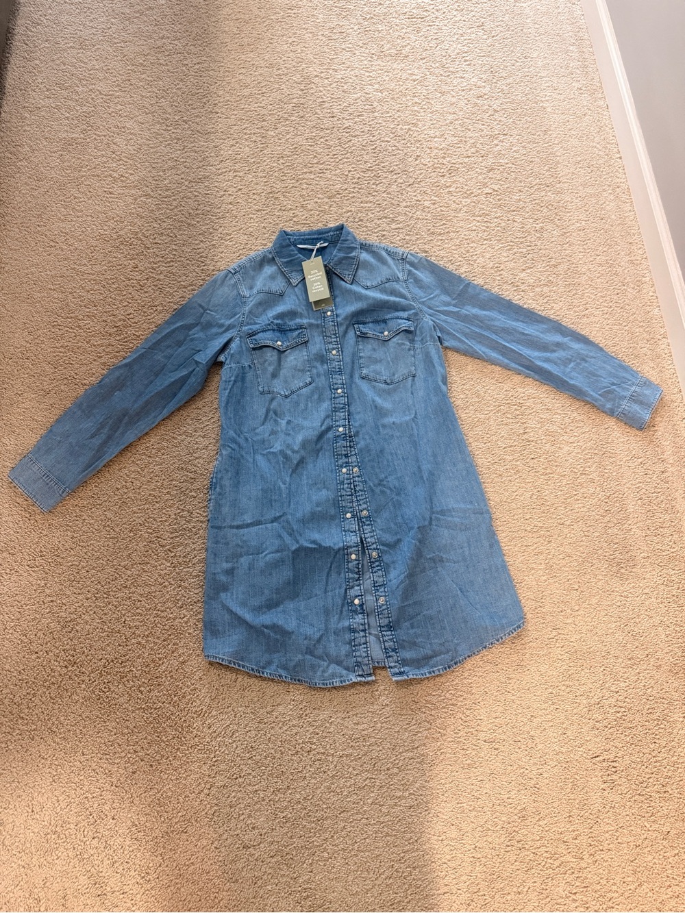 H&M Denim Button-Down Shirt Dress
